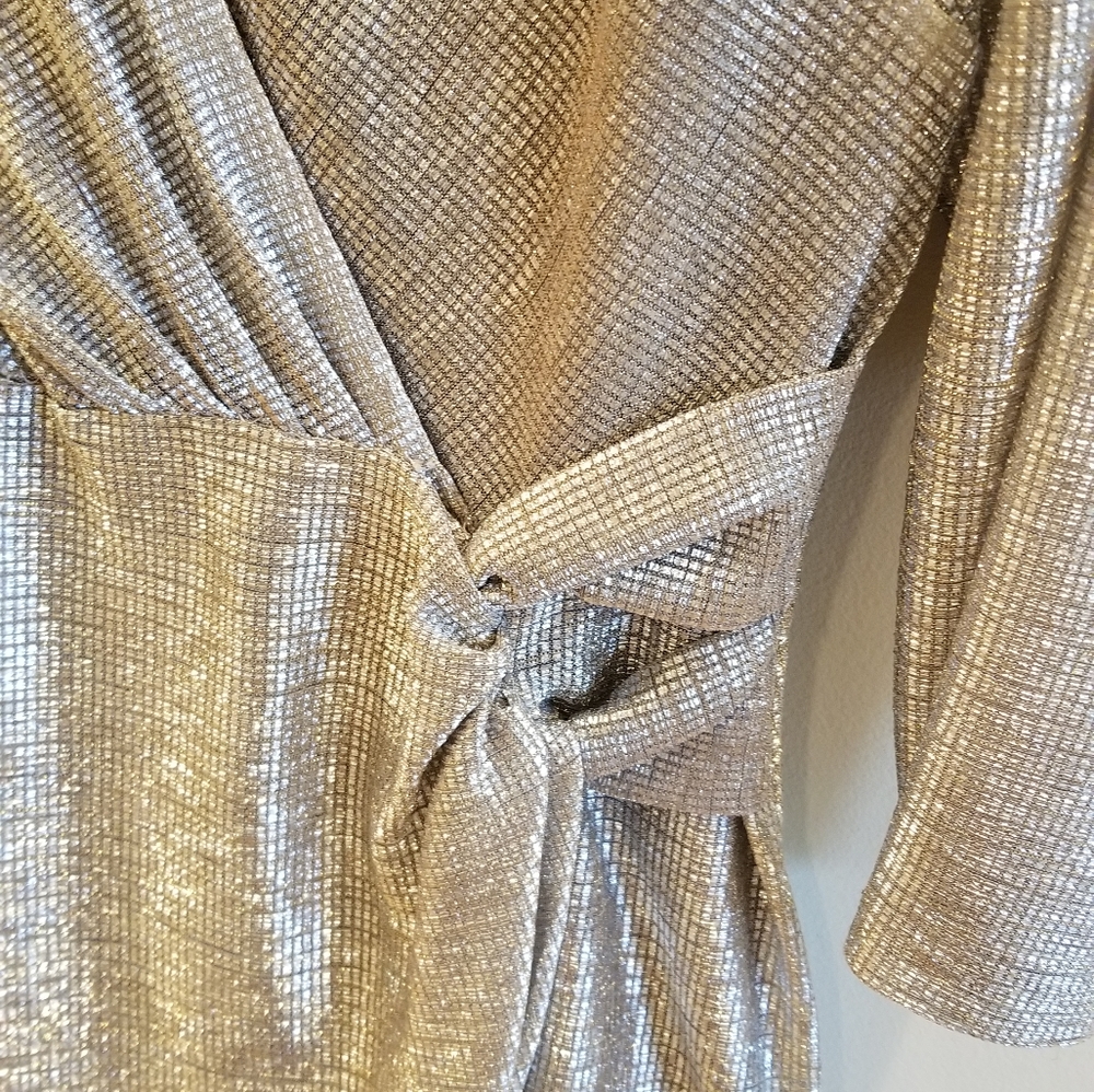 Silver Wrap Dress - Picture 3 of 5